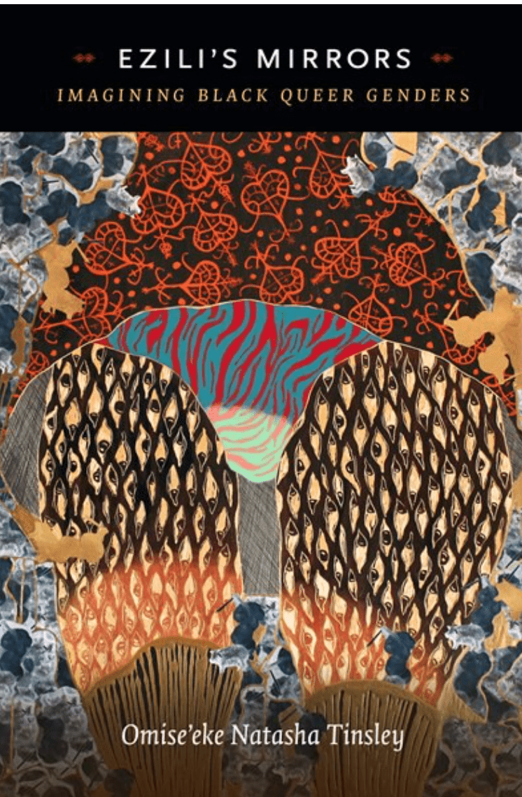 LibrairieRacines Ezilis mirrors : imagining black queer genders de Omiseeke Natasha Tinsley