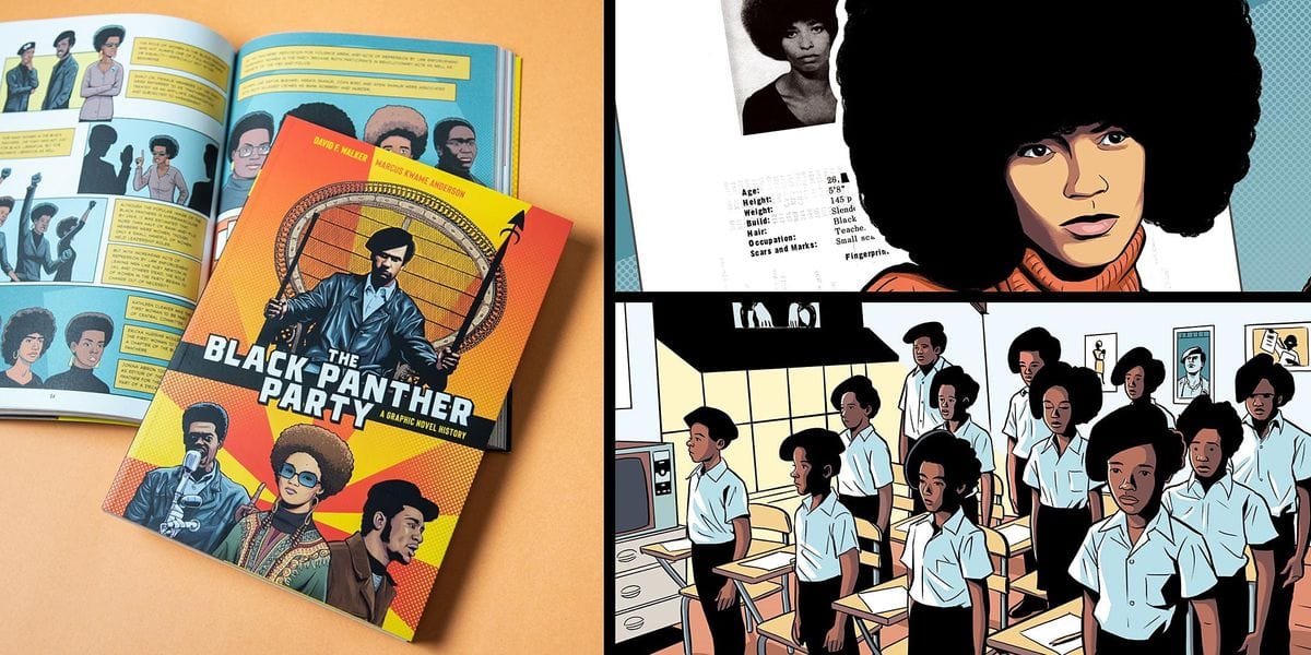 penguin The Black Panther Party a graphic novel history by David F. Walker